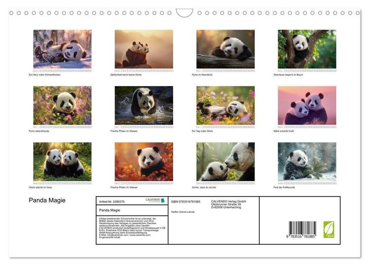 Produktbild: Panda Magie (Wandkalender 2027 DIN A3 quer), CALVENDO Monatskalender