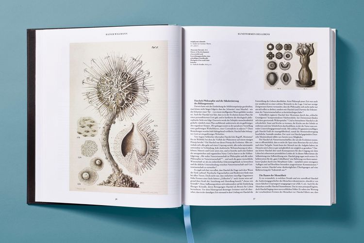 Produktbild: The Art and Science of Ernst Haeckel