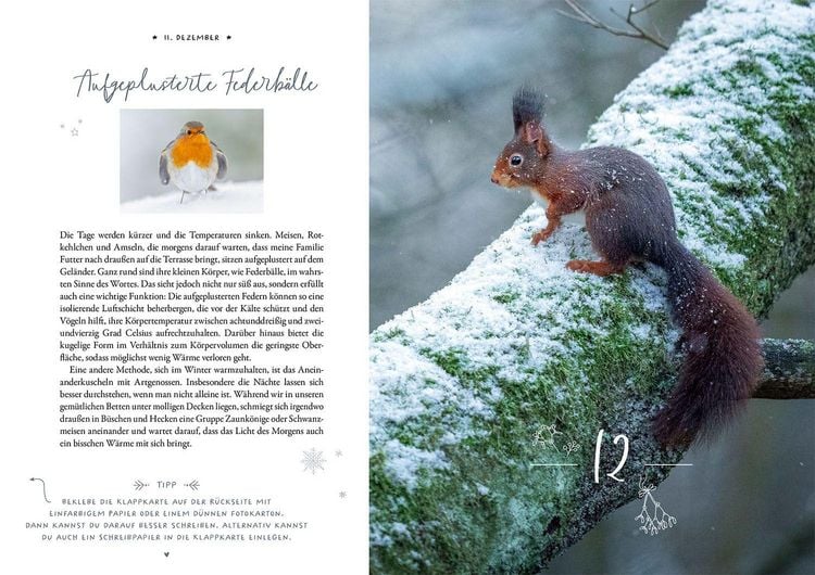 Produktbild: Winter Moments in Nature &ndash; der Adventskalender