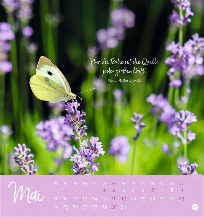 Produktbild: Stille Momente Postkartenkalender 2027