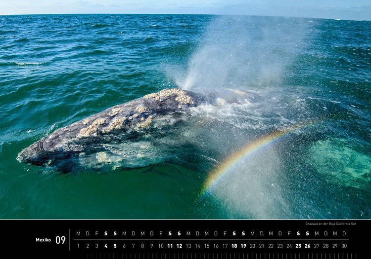 Produktbild: Mexiko Premiumkalender 2027