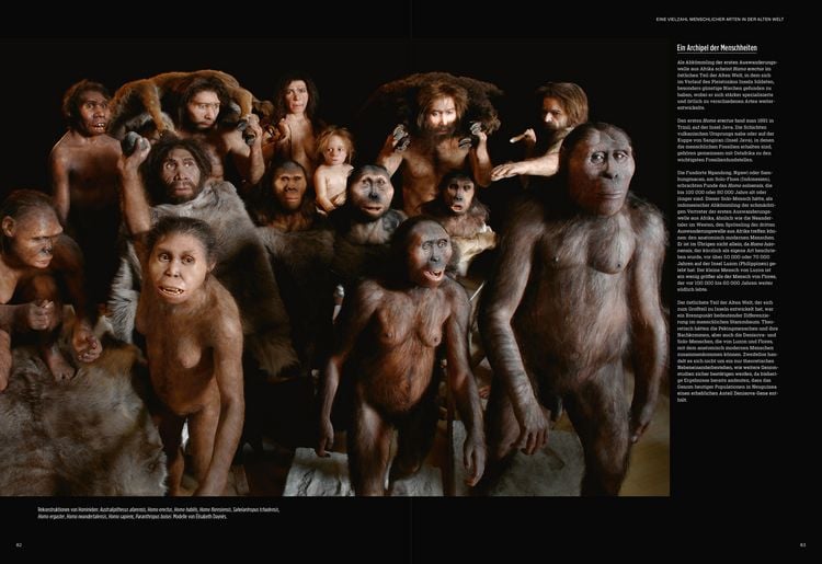 Produktbild: Homo sapiens