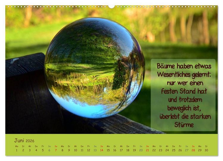 Produktbild: Wunderbare Waldkugeln (Wandkalender 2026 DIN A2 quer), CALVENDO Monatskalender