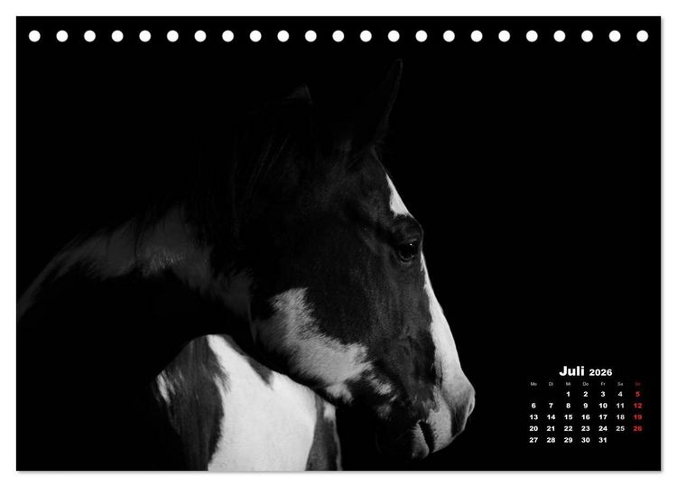 Produktbild: Pferde zwischen Licht und Schatten (Tischkalender 2026 DIN A5 quer), CALVENDO Monatskalender