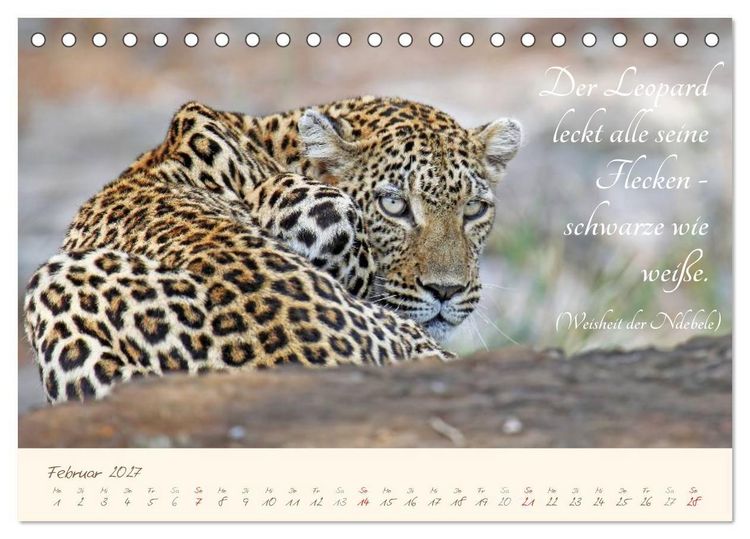 Produktbild: AFRIKA mit einem Hauch von Poesie (Tischkalender 2027 DIN A5 quer), CALVENDO Monatskalender