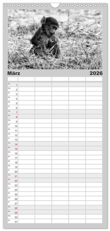 Produktbild: Familienplaner 2026 - Afrika Schwarz - Weiss mit 5 Spalten (Wandkalender, 21 x 45 cm) CALVENDO