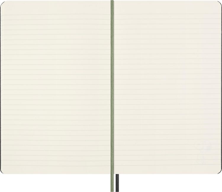 Produktbild: Moleskine Peanuts Gruppe Notizbuch limitierte Ausgabe, L/A5, liniert, fester Einband, Grau