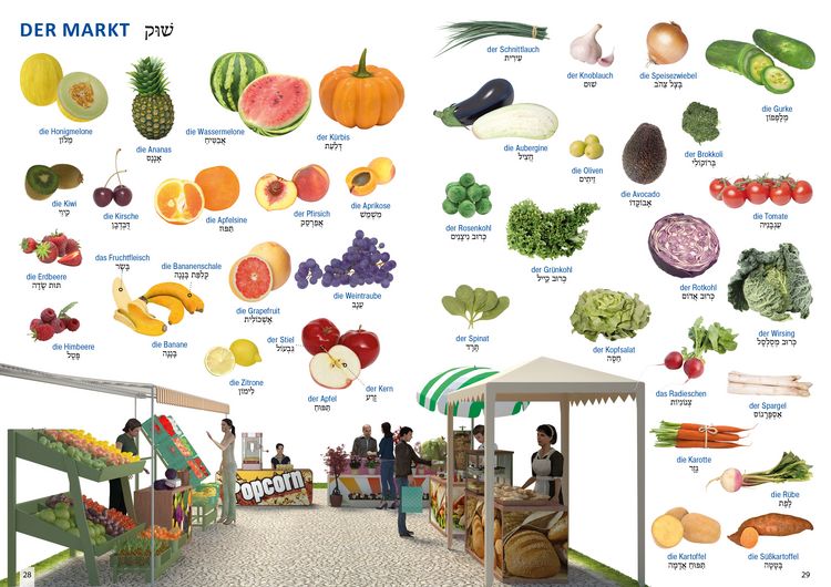 Produktbild: Bildw&ouml;rterbuch f&uuml;r Kinder und Eltern Hebr&auml;isch-Deutsch