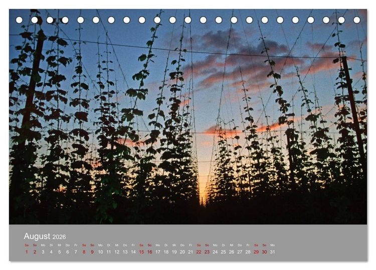 Produktbild: Hallertau (Tischkalender 2026 DIN A5 quer), CALVENDO Monatskalender