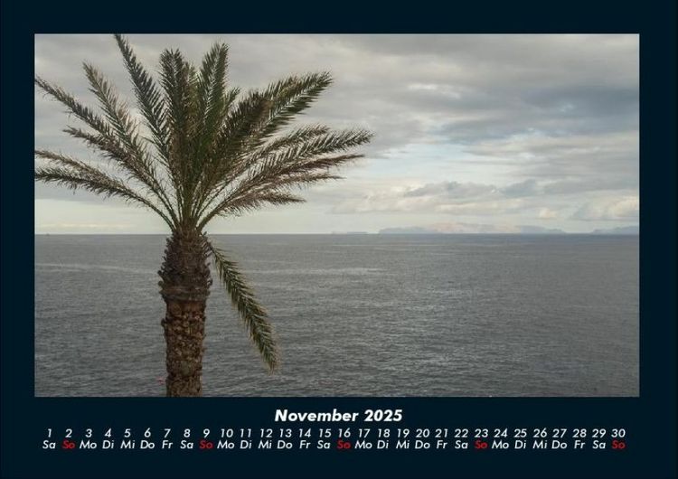 Produktbild: B&auml;ume 2025 Fotokalender DIN A4