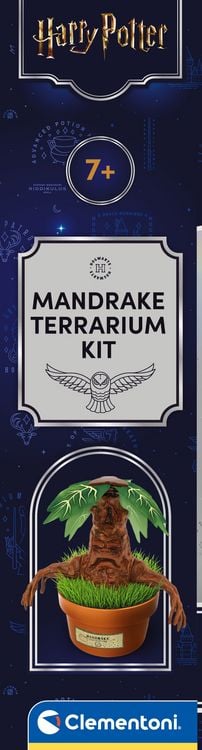 Produktbild: Harry Potter - Alraune