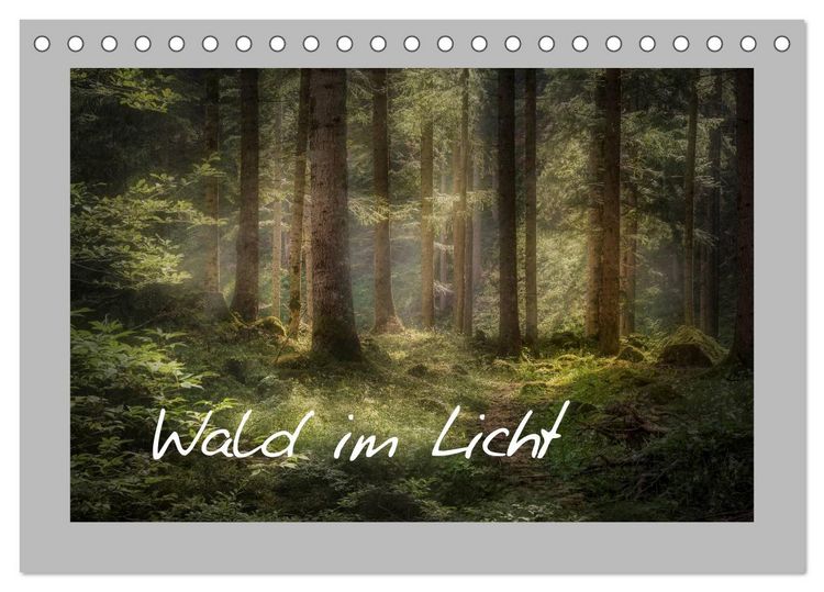 Produktbild: Wald im Licht (Tischkalender 2026 DIN A5 quer), CALVENDO Monatskalender