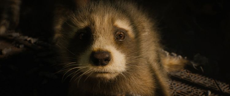 Produktbild: Guardians of the Galaxy Vol. 3 (4K Ultra HD) (+ Blu-ray)