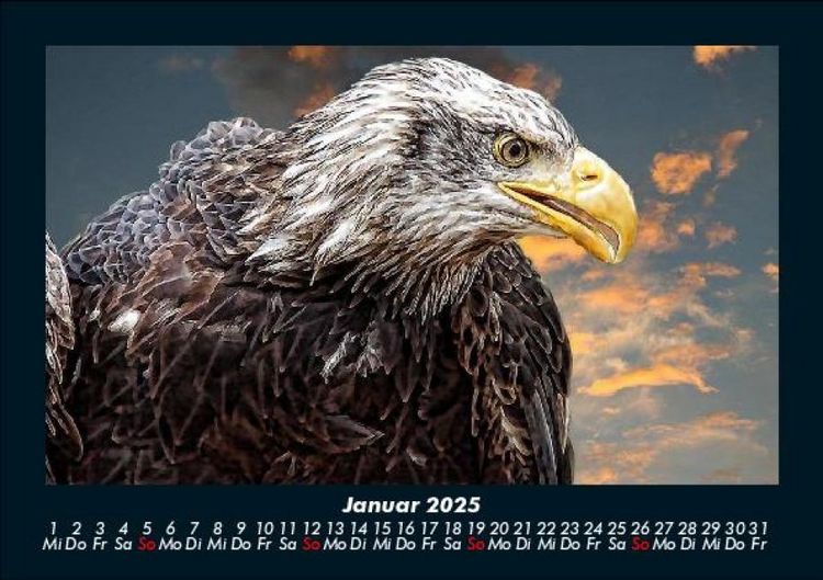 Produktbild: Adler 2025 Fotokalender DIN A5