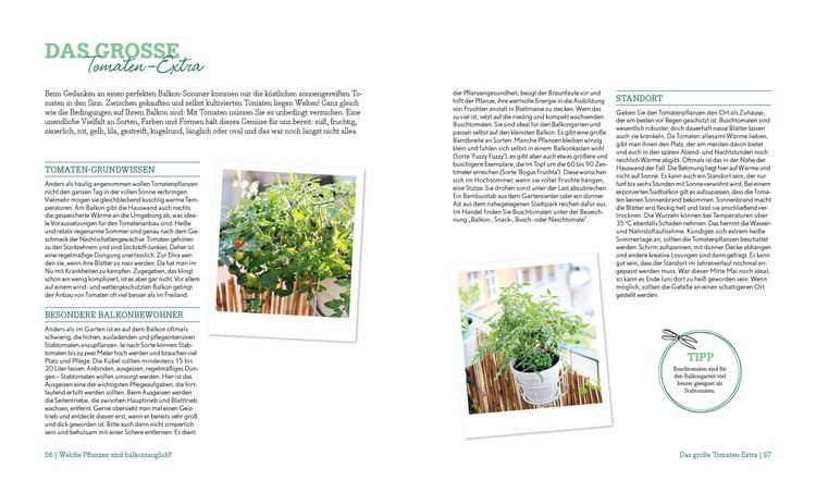 Produktbild: Mein kreativer Stadtbalkon &ndash; DIY-Projekte und G&auml;rtnerwissen pr&auml;sentiert vom Garten Fr&auml;ulein