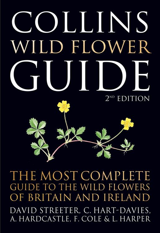 Produktbild: WILD FLOWER GUIDE PB