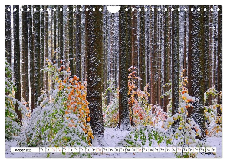 Produktbild: B&auml;ume sind Tr&auml;ume (Wandkalender 2026 DIN A4 quer), CALVENDO Monatskalender