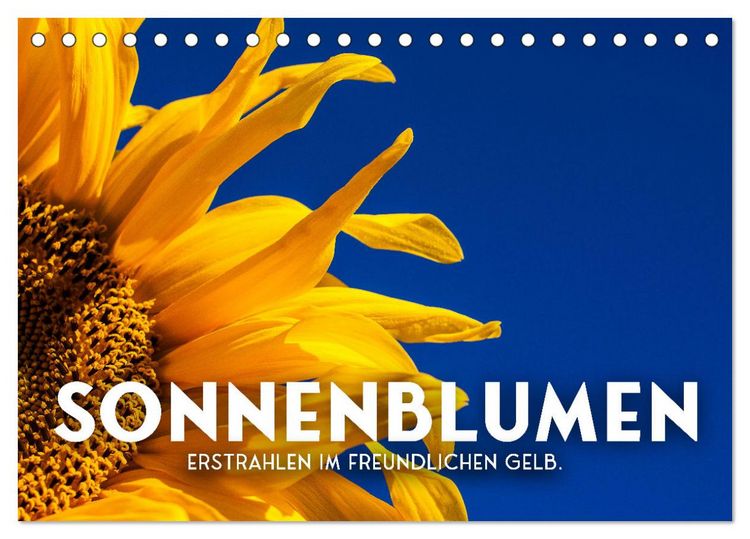 Produktbild: Sonnenblumen - Erstrahlen im freundlichen Gelb. (Tischkalender 2026 DIN A5 quer), CALVENDO Monatskalender