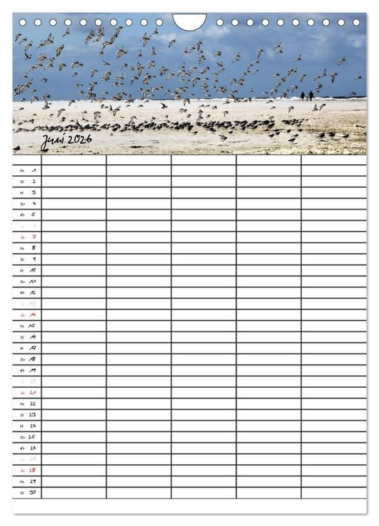 Produktbild: Urlaubsparadies Amrum / Familienplaner (Wandkalender 2026 DIN A4 hoch), CALVENDO Monatskalender