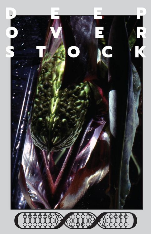 Produktbild: Deep Overstock Issue 10