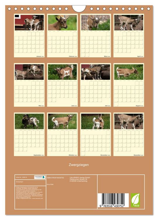 Produktbild: Zwergziegen (Wandkalender 2026 DIN A4 hoch), CALVENDO Monatskalender
