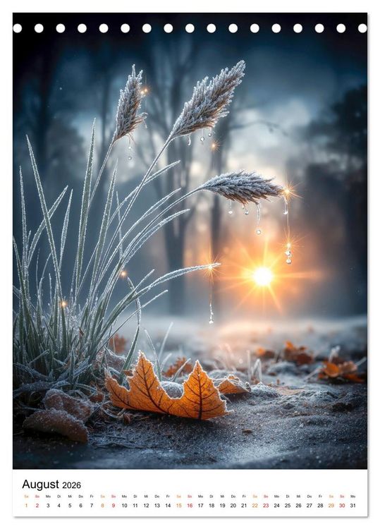 Produktbild: Wintermomente - Natur im wei&szlig;en Kleid (Tischkalender 2026 DIN A5 hoch), CALVENDO Monatskalender