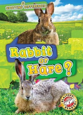 Produktbild: Rabbit or Hare?