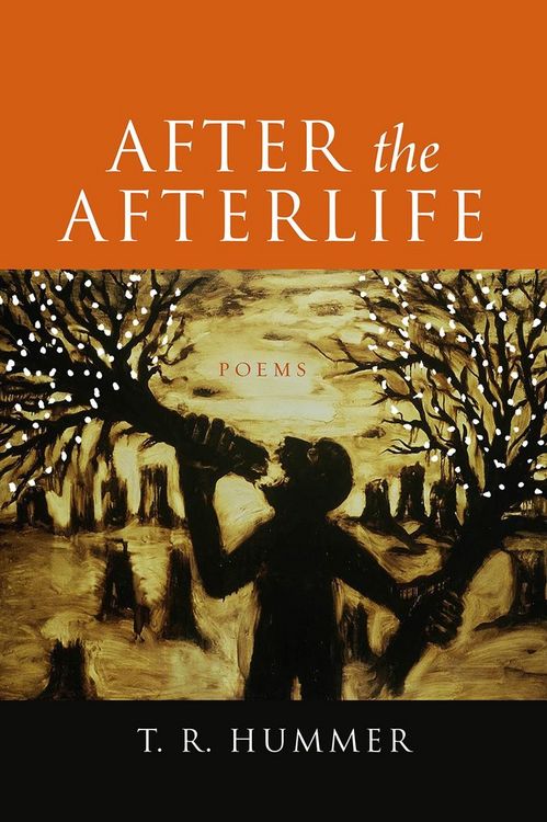 Produktbild: After the Afterlife