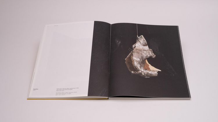 Produktbild: Felix Schramm &ndash; Things To Come