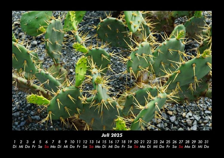 Produktbild: Naturlandschaften 2025 Fotokalender DIN A3
