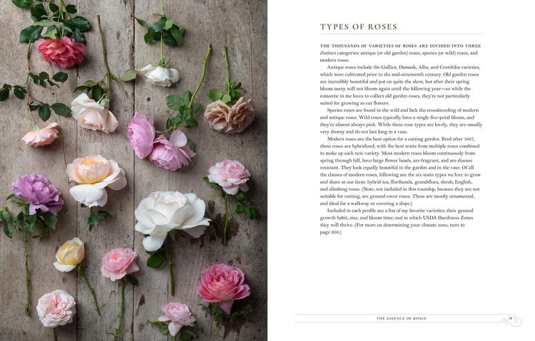 Produktbild: Grace Rose Farm: Garden Roses