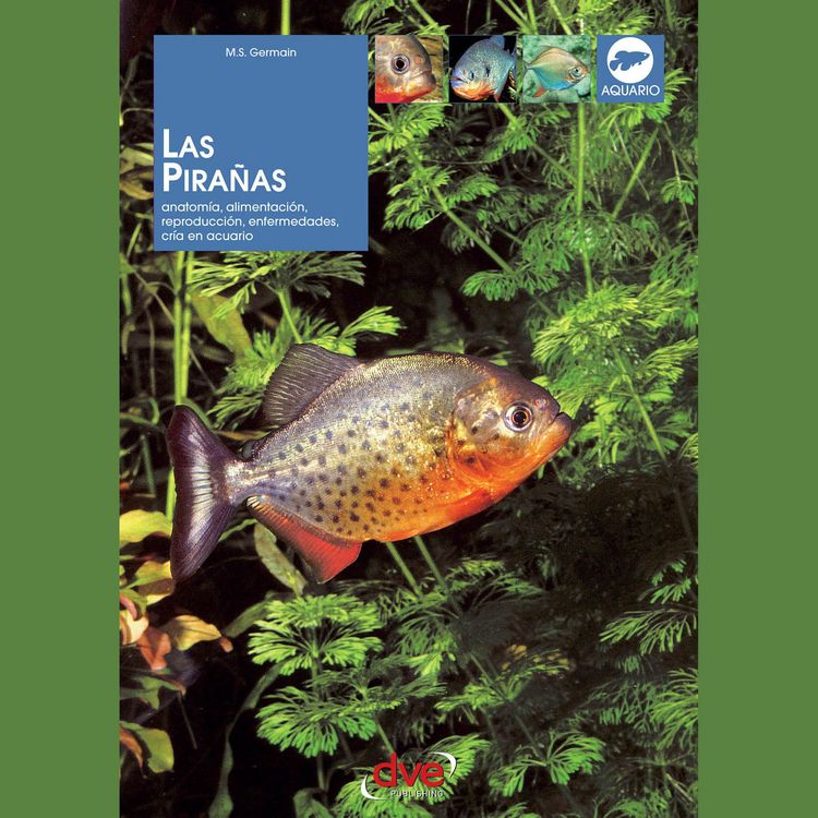 Produktbild: Las pira&ntilde;as: Anatom&iacute;a, alimentaci&oacute;n, reproducci&oacute;n, enfermedades, cr&iacute;a en acuario