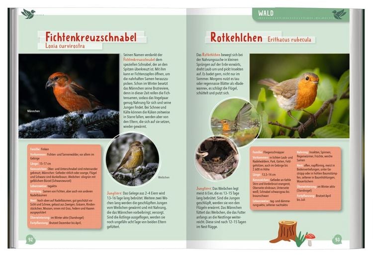 Mein großer Naturführer Tiere & Pflanzen