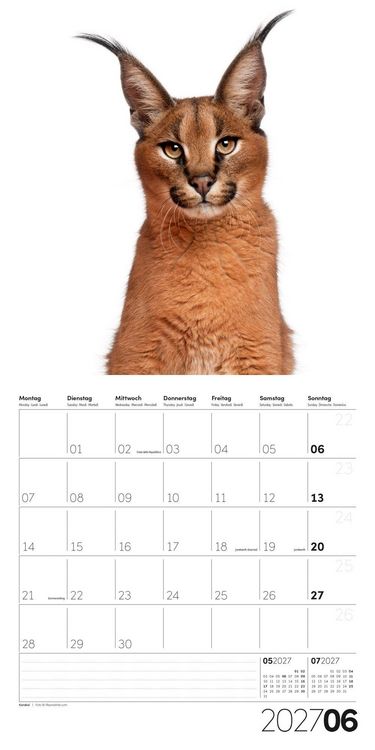 Produktbild: Animals Kalender 2027 - 30x30 - Art12