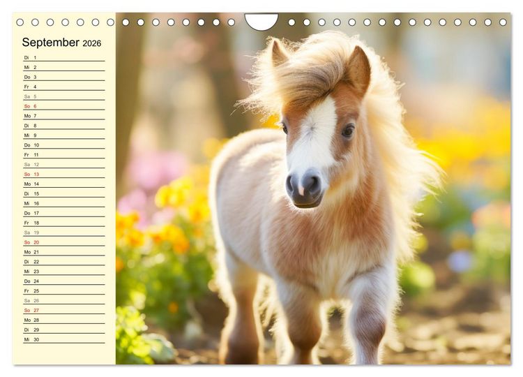 Produktbild: Kleine Pferde. Mini-Ponys zum verlieben (Wandkalender 2026 DIN A4 quer), CALVENDO Monatskalender
