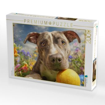Produktbild: CALVENDO Puzzle Pit Bull mit Ball | 2000 Teile Lege-Gr&ouml;&szlig;e 90x67cm Foto-Puzzle f&uuml;r gl&uuml;ckliche Stunden