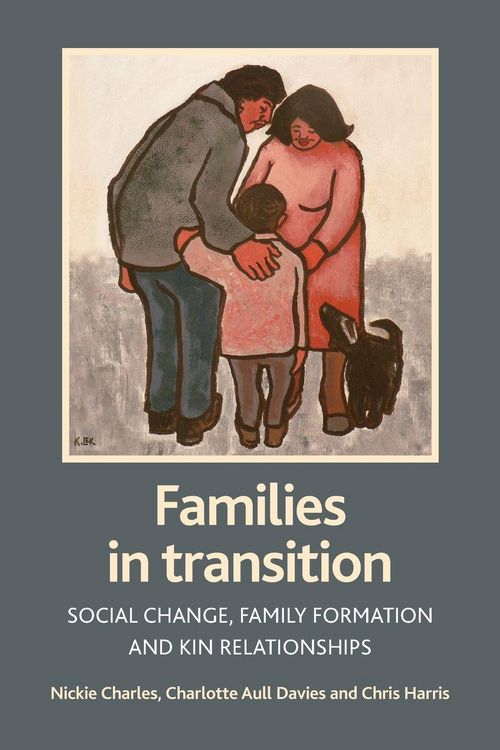Produktbild: Families in transition