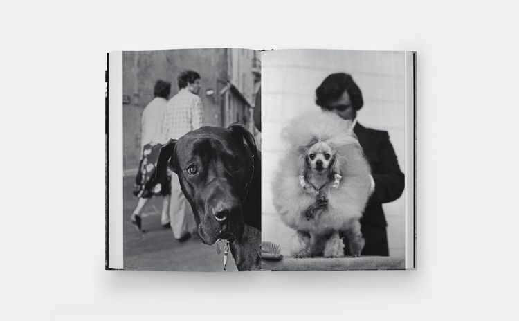 Produktbild: Hunde lieben