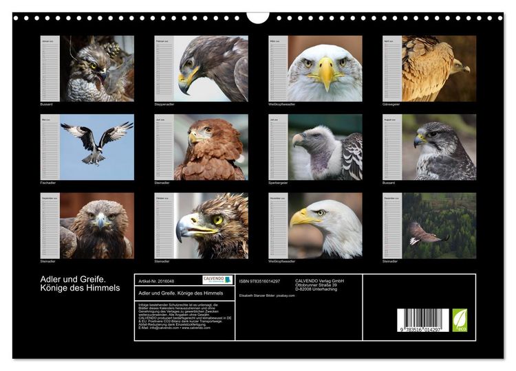 Produktbild: Adler und Greife. K&ouml;nige des Himmels (Wandkalender 2026 DIN A3 quer), CALVENDO Monatskalender