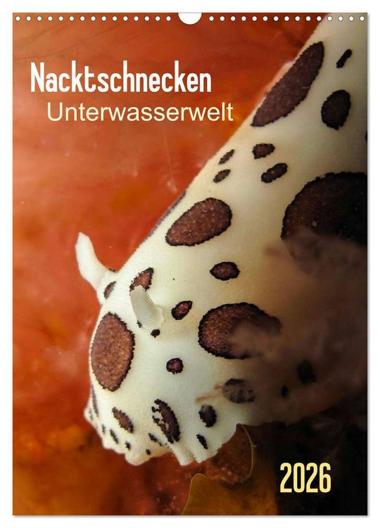 Produktbild: Nacktschnecken - Unterwasserwelt 2026 (Wandkalender 2026 DIN A3 hoch), CALVENDO Monatskalender