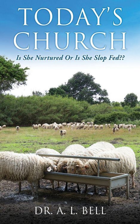 Produktbild: Today's Church Is She Nurtured Or Is She Slop Fed