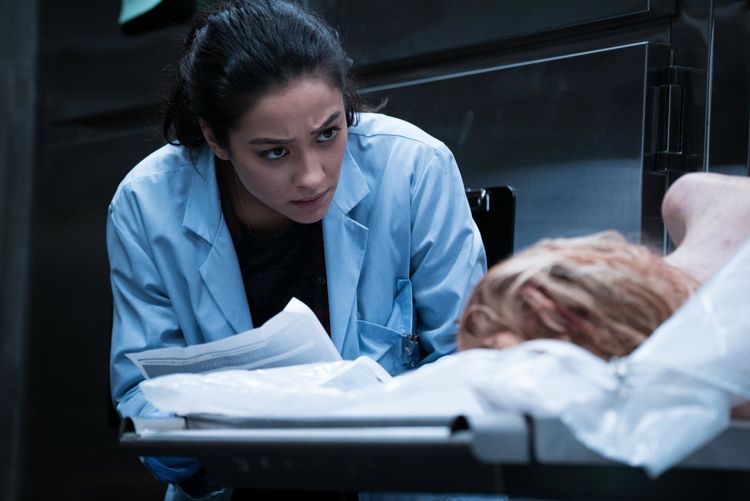 Produktbild: The Possession of Hannah Grace