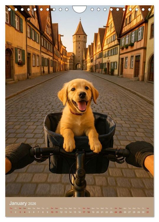 Produktbild: Cycling in Germany (Wall Calendar 2026 DIN A4 portrait), CALVENDO 12 Month Wall Calendar