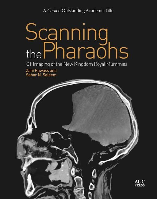 Produktbild: Scanning the Pharaohs
