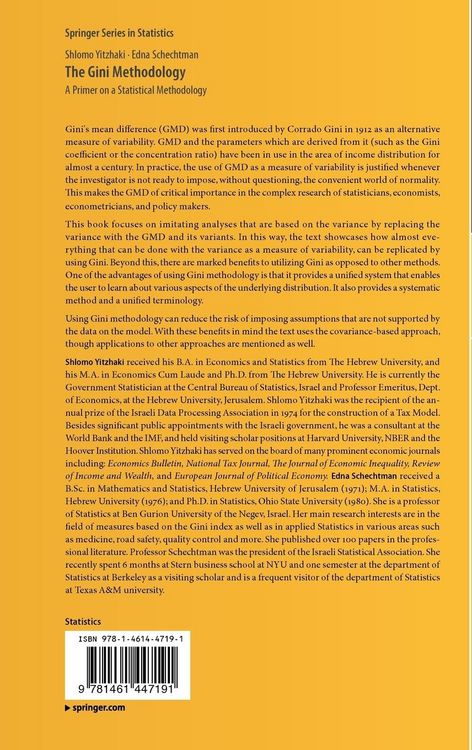 Produktbild: The Gini Methodology