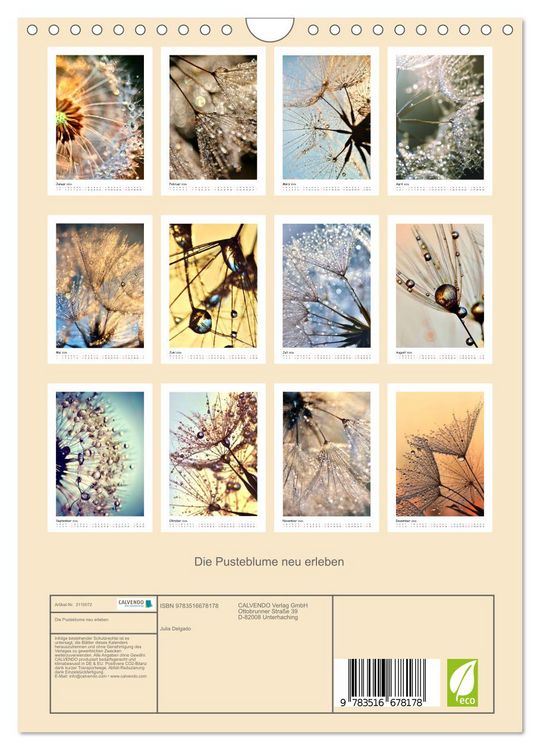 Produktbild: Die Pusteblume neu erleben (Wandkalender 2026 DIN A4 hoch), CALVENDO Monatskalender