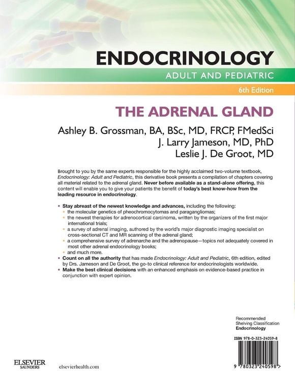 Produktbild: Endocrinology Adult and Pediatric