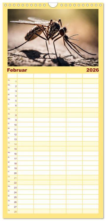 Produktbild: Familienplaner 2026 - Filigrane Insekten mit 5 Spalten (Wandkalender, 21 x 45 cm) CALVENDO