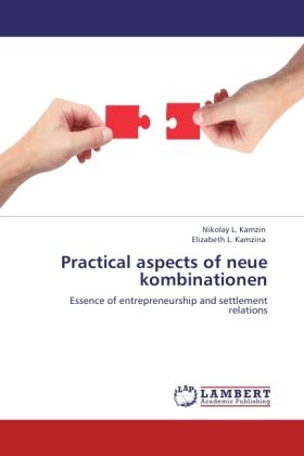Produktbild: Kamzin, N: Practical aspects of neue kombinationen