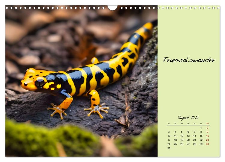 Produktbild: Heimische und exotische Amphibien (Wandkalender 2026 DIN A3 quer), CALVENDO Monatskalender